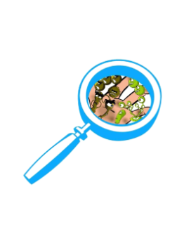 Experi&eacute;ncia de l'aiga peberada