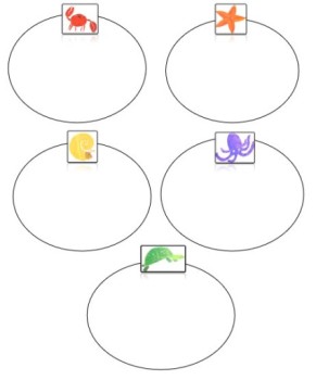 Activitats dab "Peish&ograve;t blanc"