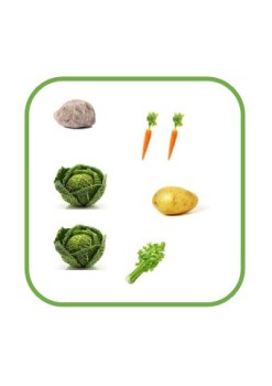 J&ograve;c numeracion "La sopa de calhau"