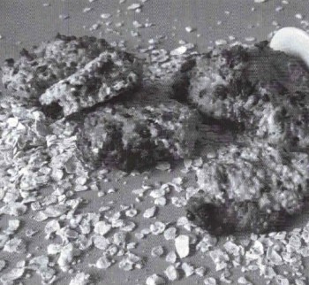 Coquets dab fl&ograve;cs de civada