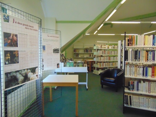 Biblioth&egrave;que municipale de Morla&agrave;s