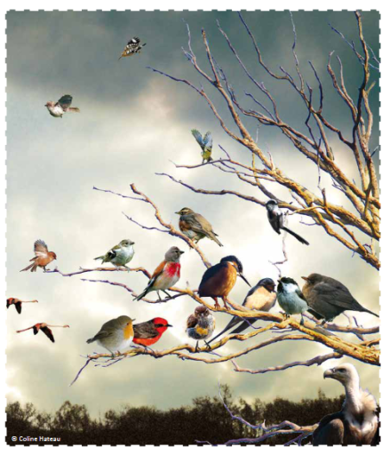 Lexic : los aus&egrave;ths 