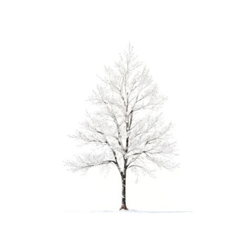 L'hiver