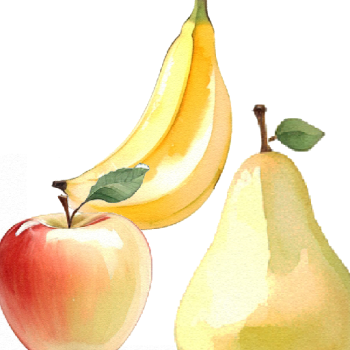 Les fruits